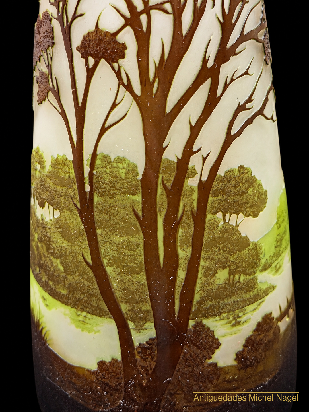 Jarrón de cristal camafeo con paisaje lacustre — foto 15